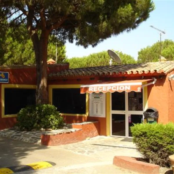 camping-cabopino-marbella-wpwag