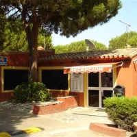 camping-cabopino-marbella-wpwag