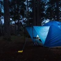 Rothiemurchus Camping & Caravan Park