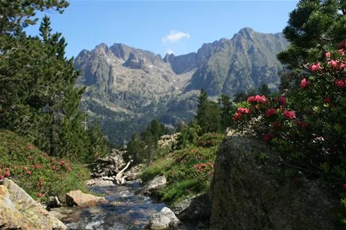 camping-voraparc-espot-pdyft