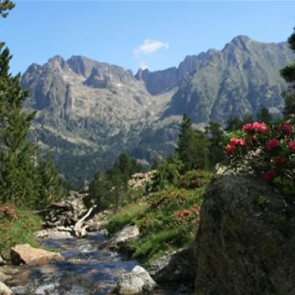 Camping Voraparc