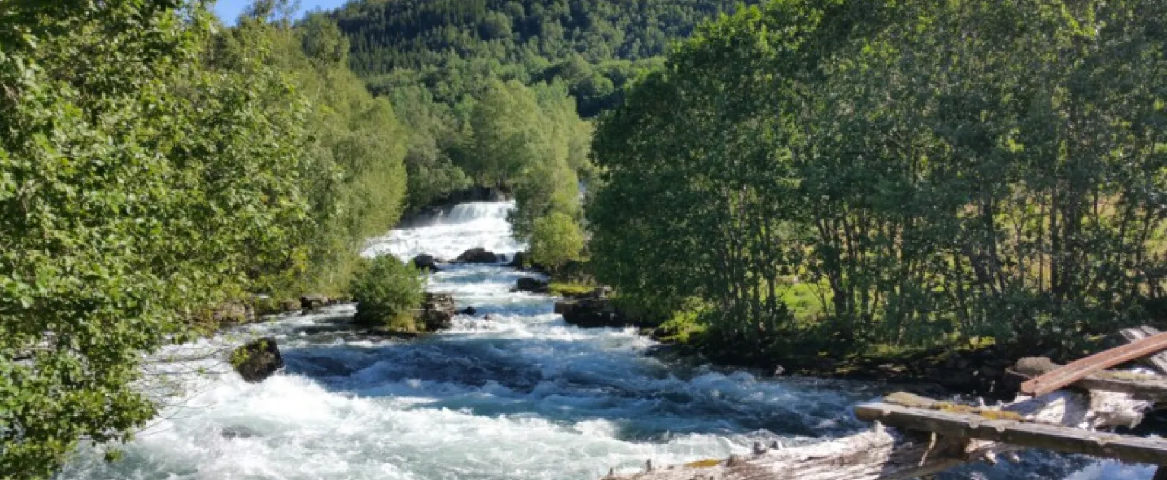 Viksdalen Camping
