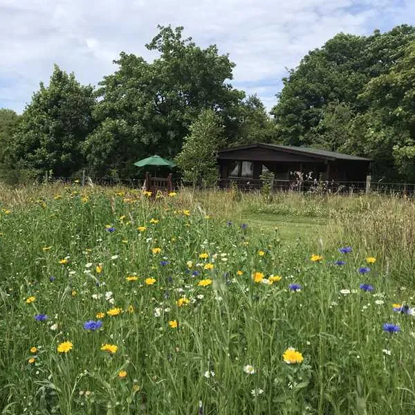 argoed-meadow-camping-caravan-park-newcastle-emlyn-1i8vd