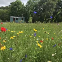 argoed-meadow-camping-caravan-park-newcastle-emlyn-ga0cu