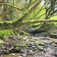 argoed-meadow-camping-caravan-park-newcastle-emlyn-jb7pl