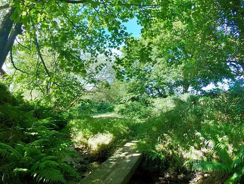 argoed-meadow-camping-caravan-park-newcastle-emlyn-olmcr