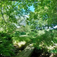 argoed-meadow-camping-caravan-park-newcastle-emlyn-olmcr