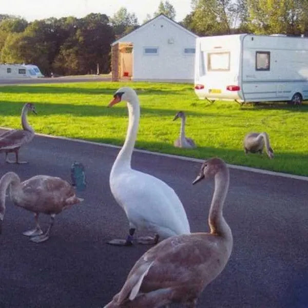 argoed-meadow-camping-caravan-park-newcastle-emlyn-urfeq