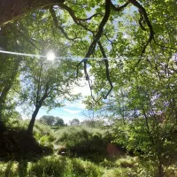 argoed-meadow-camping-caravan-park-newcastle-emlyn-vjk9o