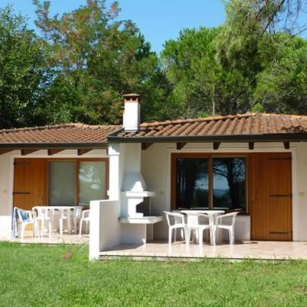 campeggio-belvedere-pineta-belvederegrado-3d0rt