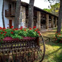 campeggio-belvedere-pineta-belvederegrado-5sulk