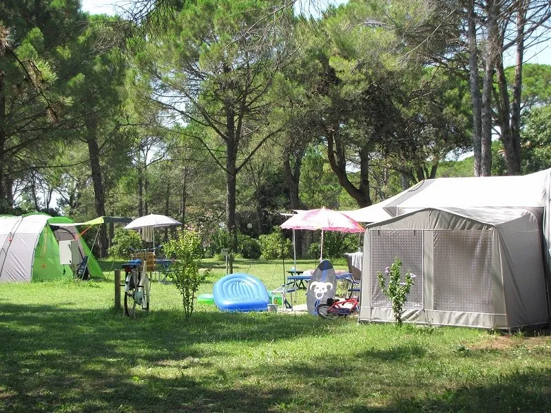 campeggio-belvedere-pineta-belvederegrado-bcafi