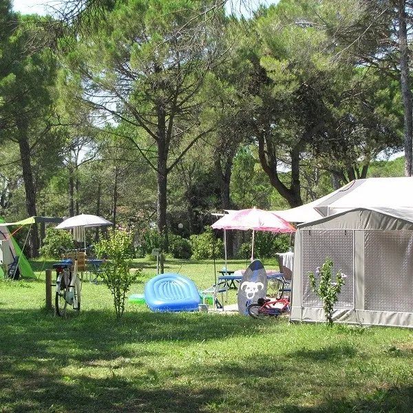 campeggio-belvedere-pineta-belvederegrado-bcafi