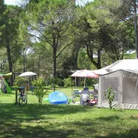 campeggio-belvedere-pineta-belvederegrado-bcafi