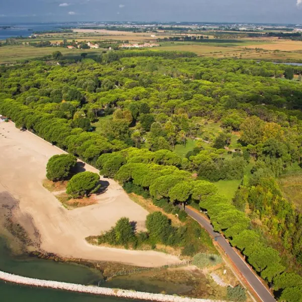 Campeggio Belvedere Pineta