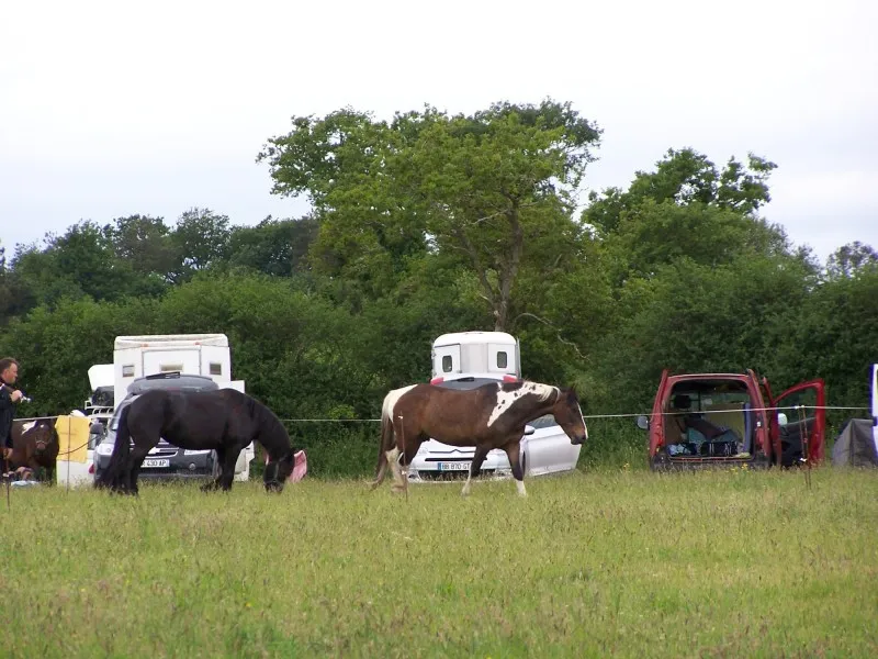 camping-de-kernejeune-arzal-izhtr