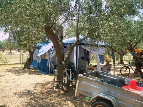 camping-meltemi-gythionlakonias-9kcol