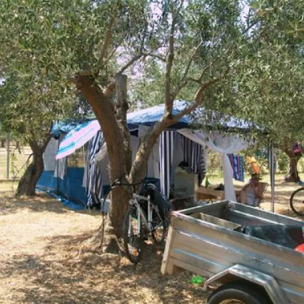 camping-meltemi-gythionlakonias-9kcol