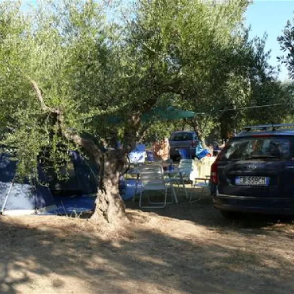 camping-meltemi-gythionlakonias-eo858