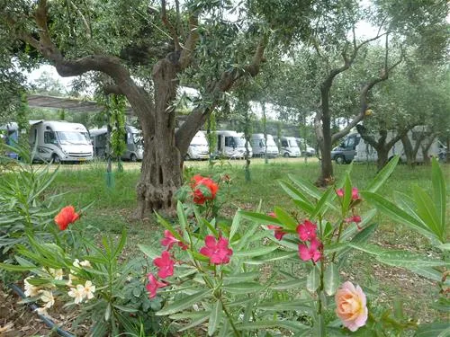 camping-meltemi-gythionlakonias-rju4w