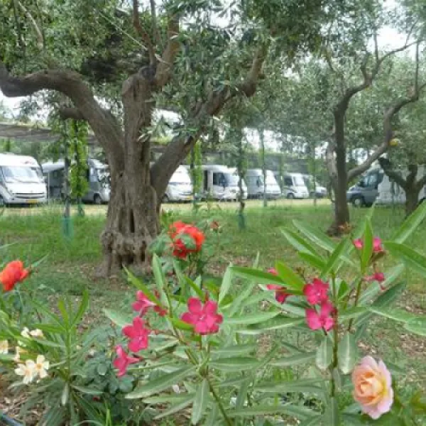 camping-meltemi-gythionlakonias-rju4w