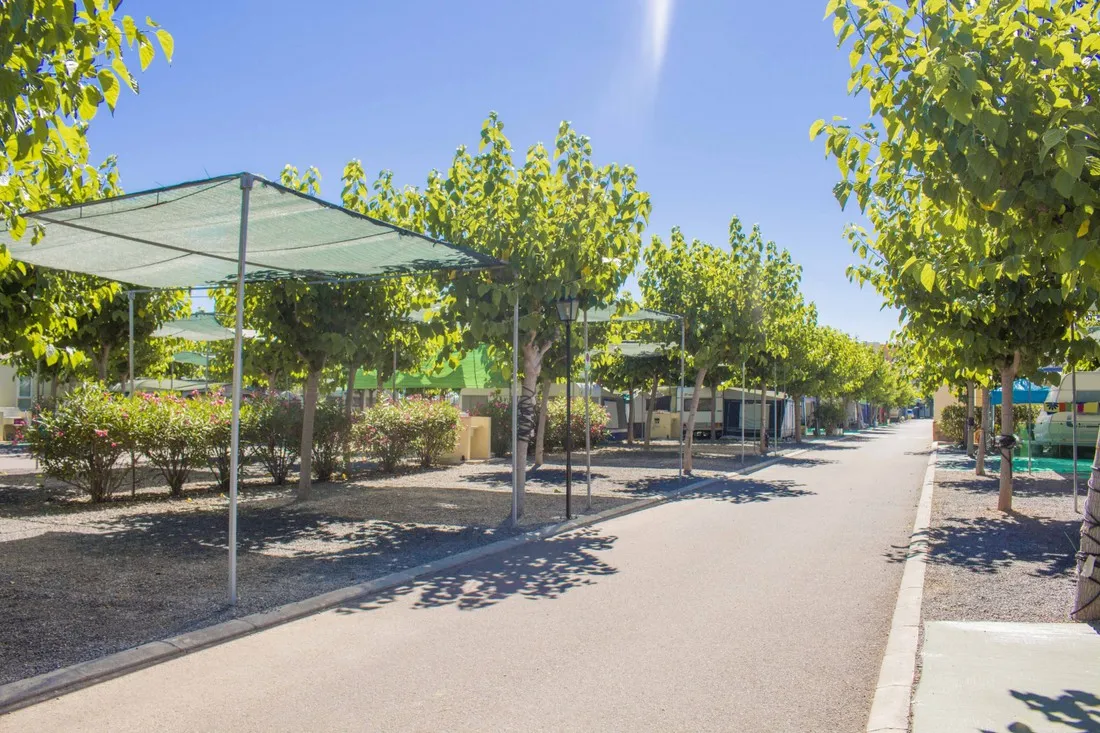 camping-monmar-moncofa-t1thb