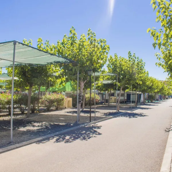camping-monmar-moncofa-t1thb