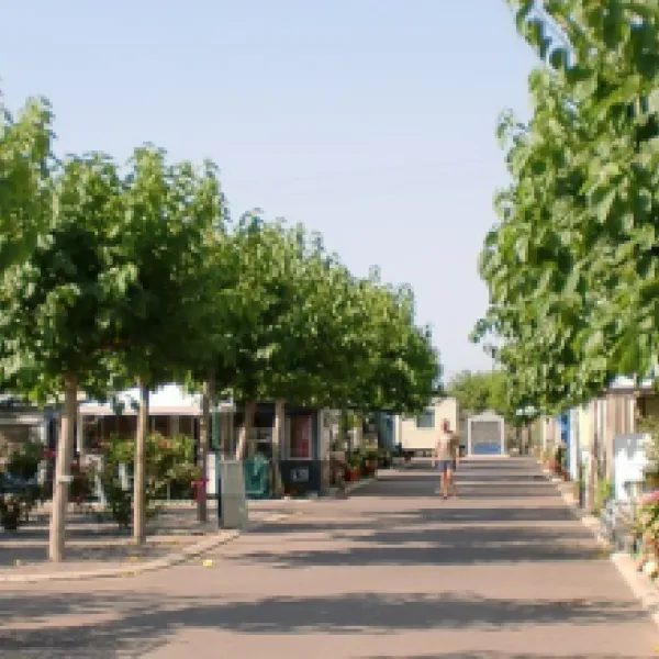 camping-monmar-moncofa-vizhp