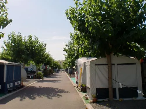 camping-monmar-moncofa-w0upe