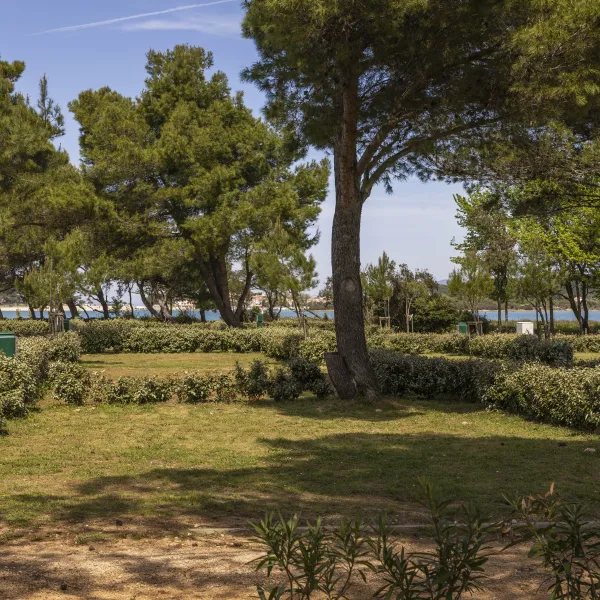 camping-lopari-nerezine-ammpo