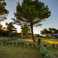 camping-lopari-nerezine-qgspm