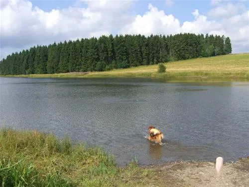campingplatz-prahljust-clausthalzellerfeld-1ivzx