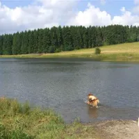 campingplatz-prahljust-clausthalzellerfeld-1ivzx