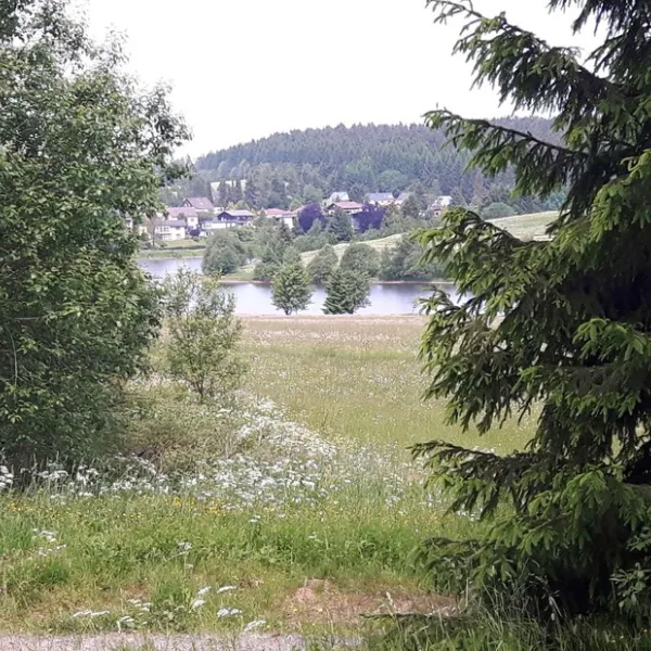campingplatz-prahljust-clausthalzellerfeld-wznqd
