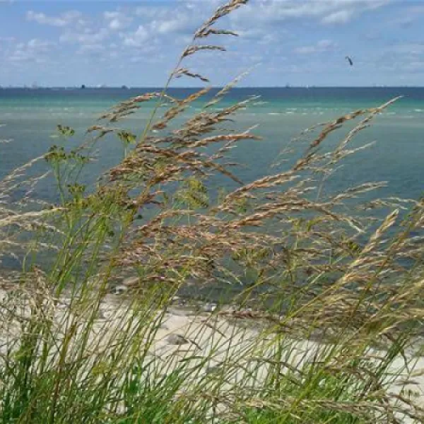 campingplatz-neustein-stein-bei-laboe-ilzuu