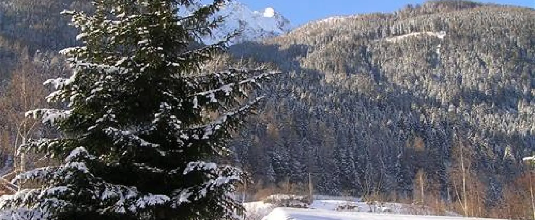 Camping Gasthof Zirknitzer