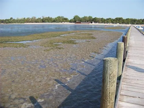 residence-punta-spin-grado-ne573