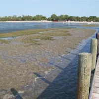 residence-punta-spin-grado-ne573