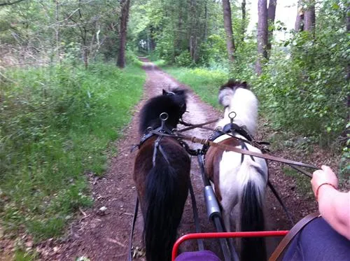 knaus-campingpark-oytenbremen-oyten-q1uon