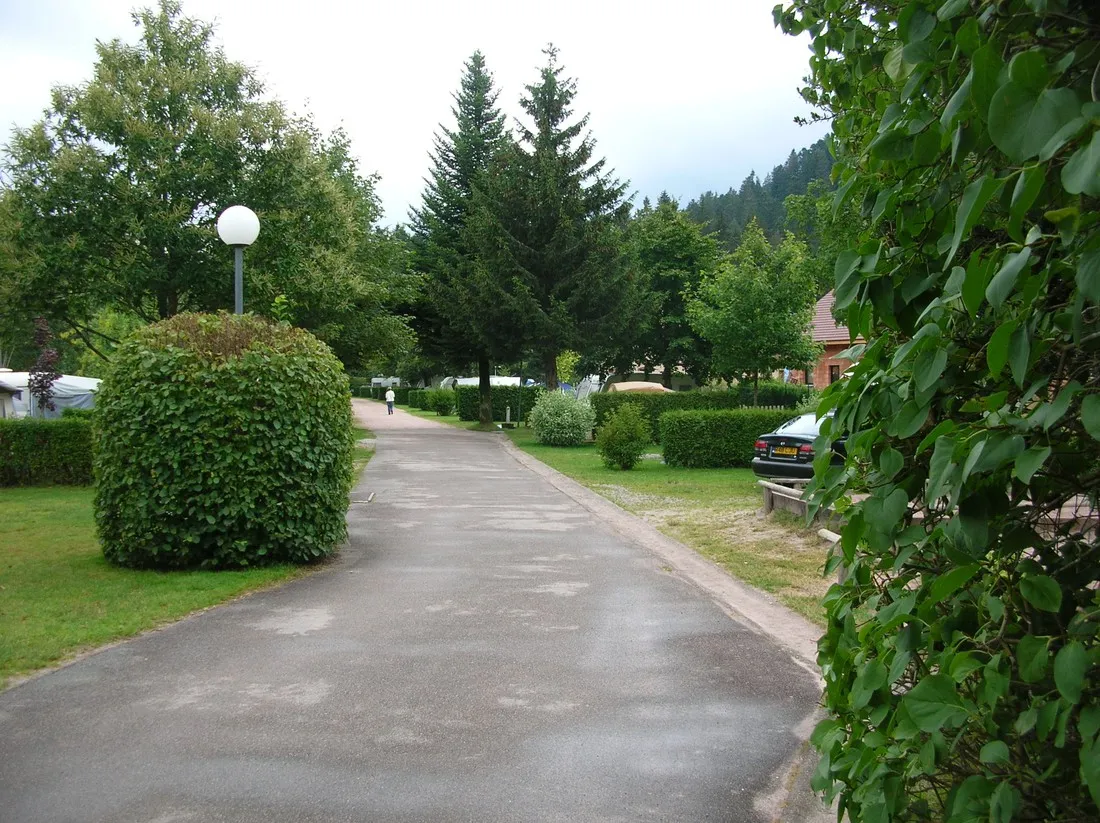 camping-les-sapins-gerardmer-om6aw