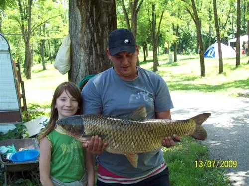 camping-srebrno-jezero-veliko-gradiste-veliko-gradiste-6q3ap
