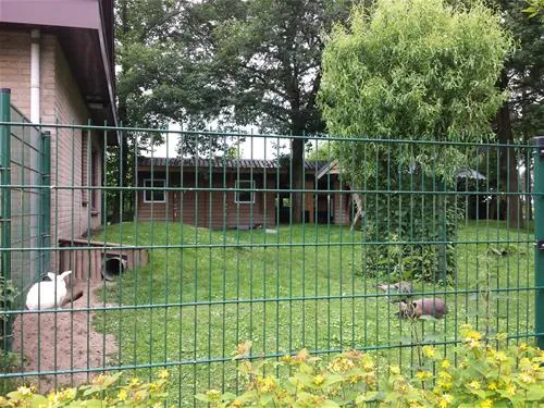 camping-vreehorst-winterswijk-ilm3g