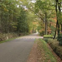 camping-vreehorst-winterswijk-jycid