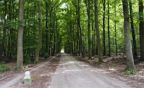 camping-vreehorst-winterswijk-selsw