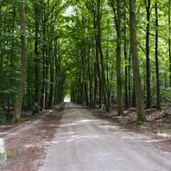 camping-vreehorst-winterswijk-selsw