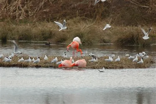 camping-vreehorst-winterswijk-waofy