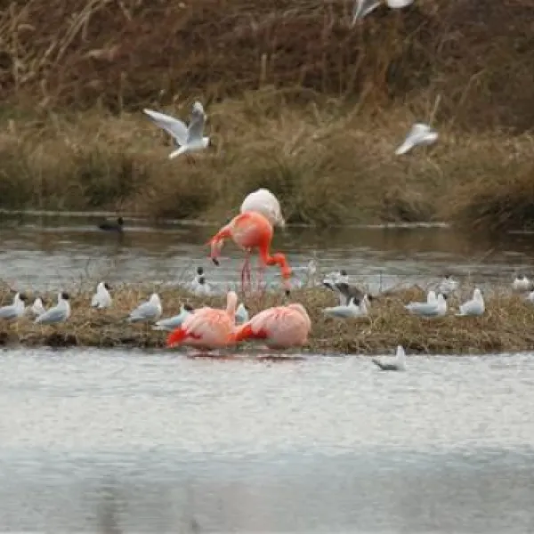 camping-vreehorst-winterswijk-waofy