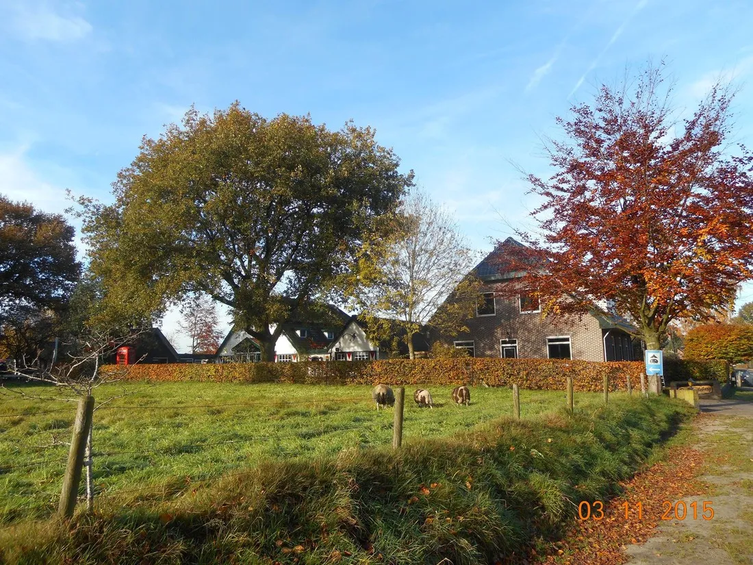 camping-meulebarg-elspeet-e3qhh