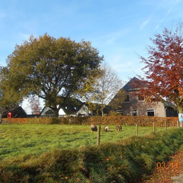 camping-meulebarg-elspeet-e3qhh