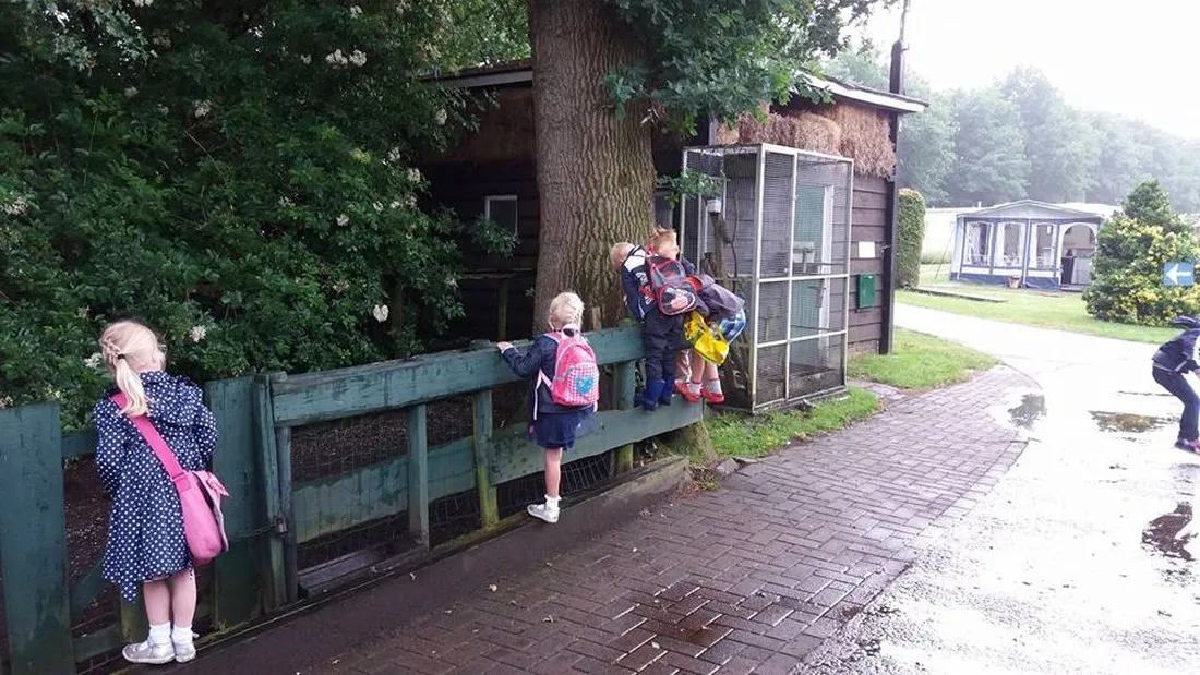 camping-meulebarg-elspeet-ux0og